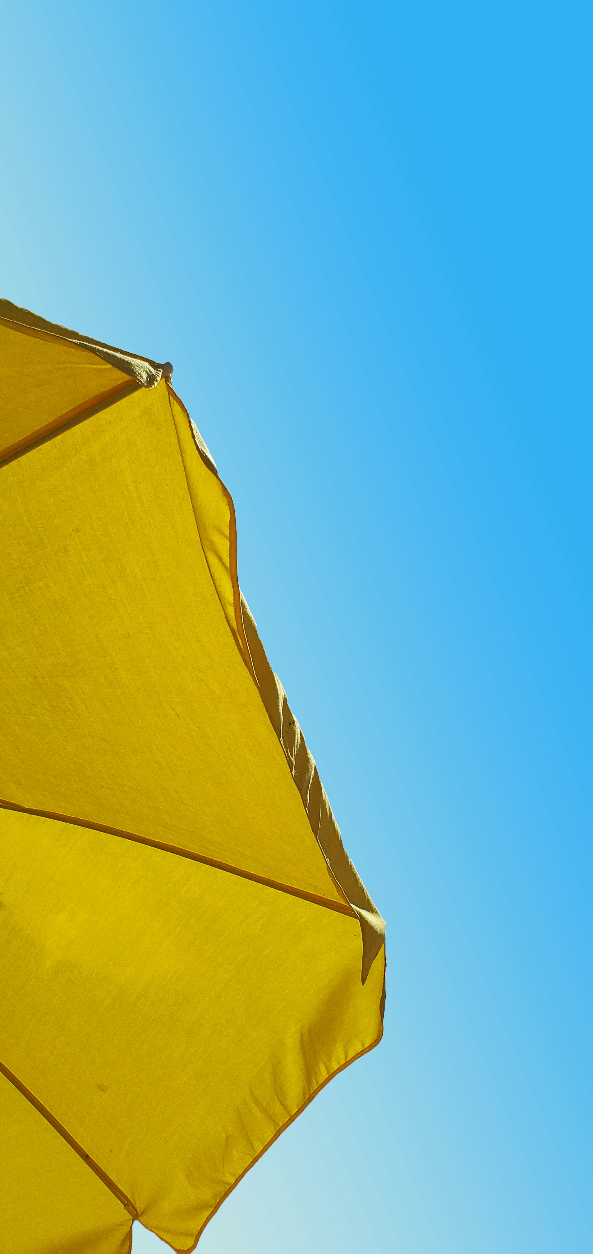 PARASOL